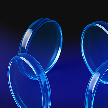 Web3 Roundtable: From Infrastructure to Everyday Use